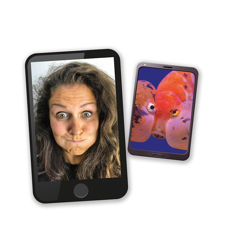Selfie safari jeu drôle