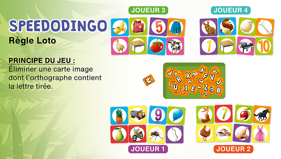 Speedodingo jeu éducatif