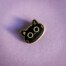 photo pin cat